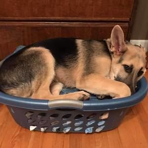 Meet your Posher, Matthew